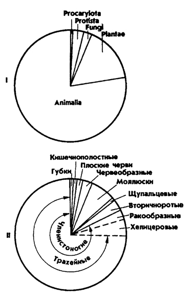 Рис. 2. Видовое многообразие живых организмов (I) и основных фупп животных на Земле (II, по Барнсу)